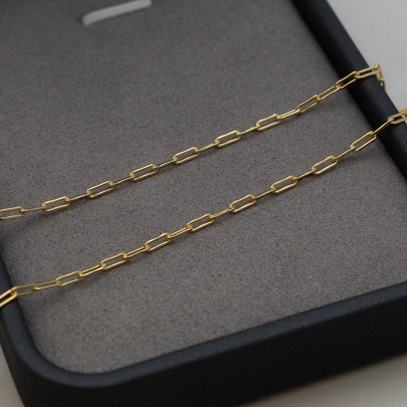 Corrente Cartier long 2mm com pingente Medusa Banhado a Ouro 18k